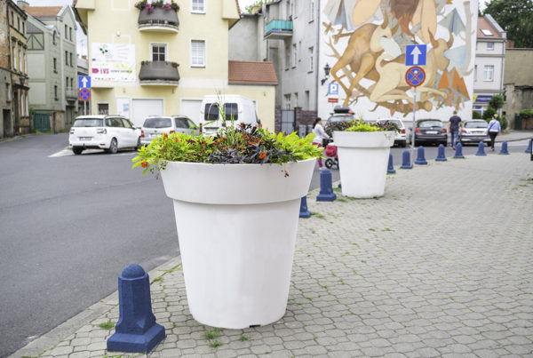 Zagospodarowanie przestrzeni miejskiej w Lesznie