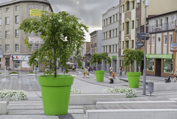 Realizacja udekorowania przestrzeni miejskiej w Rybniku